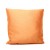 Titian Raw Silk Pillow